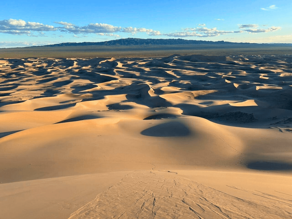 Khongoriin Els (Khongor Sand Dune)