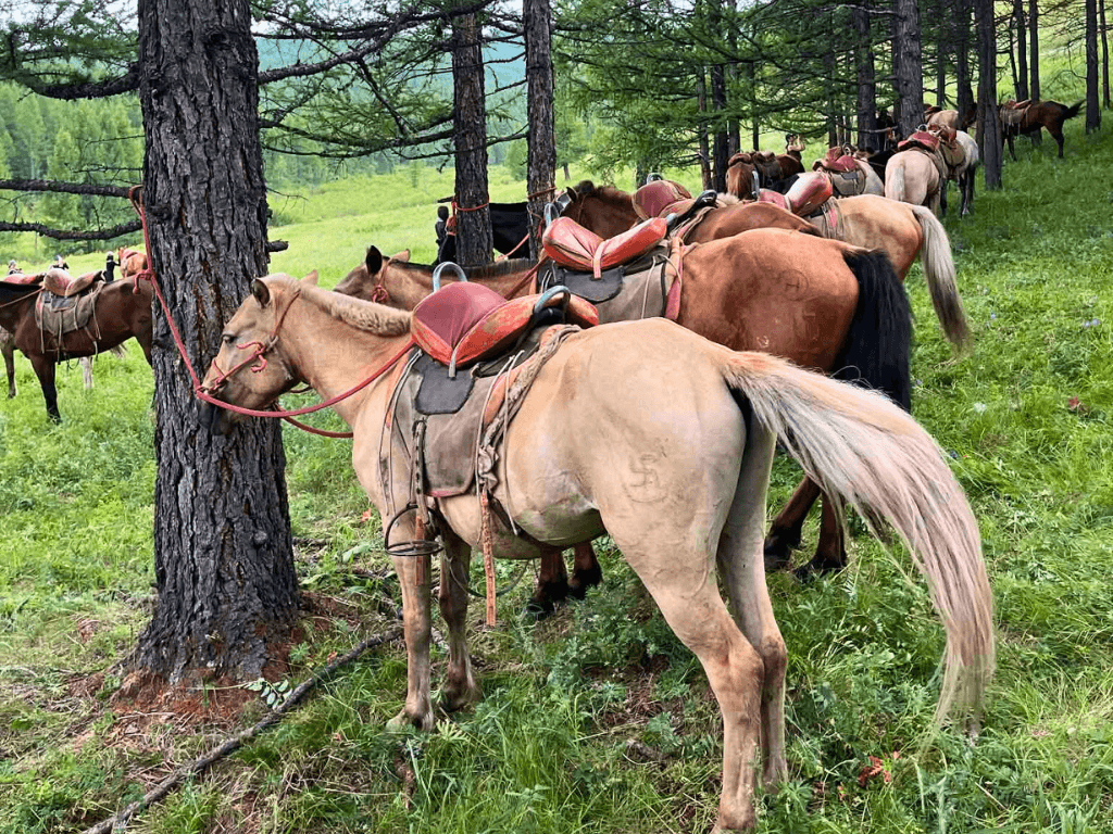 Rest of the Eight Lakes & Khuis Lake 