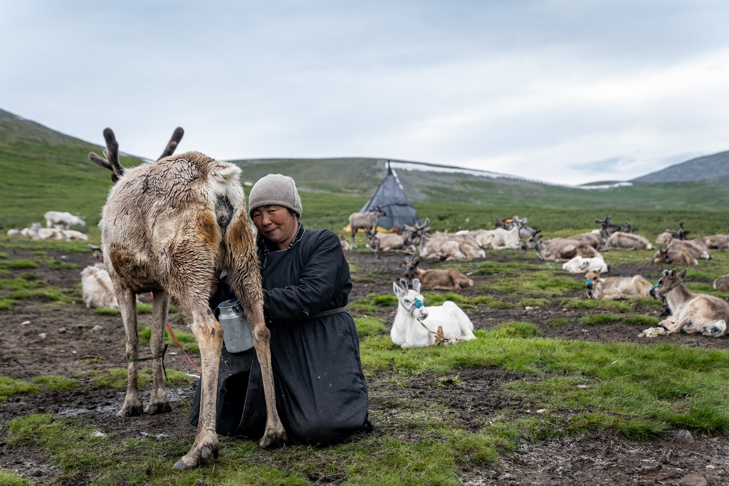REINDEER HERDERS (TSAATAN TRIBE)