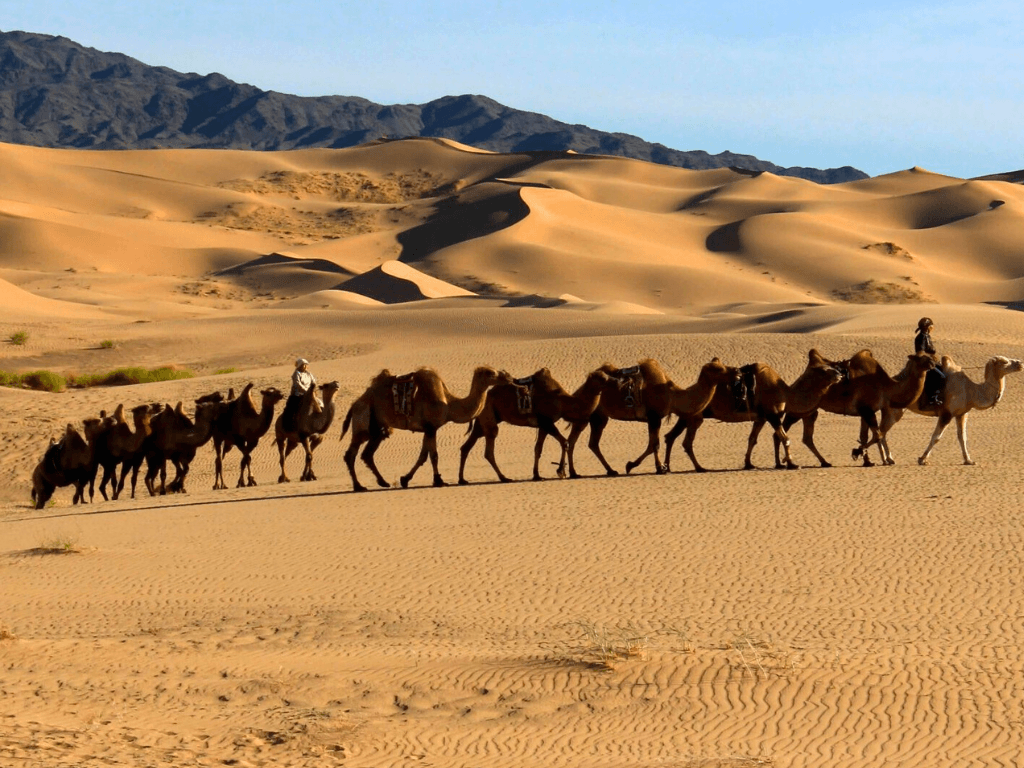 Camel Riding at Khongor Sand Dunes